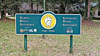 Suaka Rhino Sumatera (SRS) Way Kambas Suaka Rhino Sumatera (SRS) Way Kambas