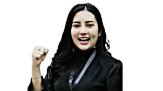 Drg. Elin, Istri Aries Sandi