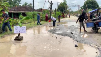 Warga Palas menebar ikan lele di jalan rusak.