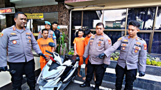 Article