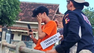 Article