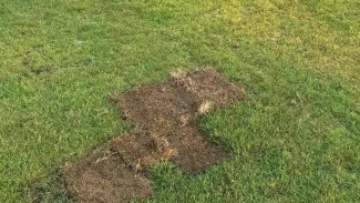 Kondisi Belum Memadai, Bhayangkara FC Tunda Latihan di Stadion Pahoman Bandar Lampung