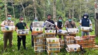 Ribuan Burung Liar Hasil Sitaan Dilepas di Hutan Kaki Gunung Rajabasa