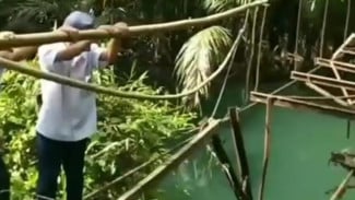 Viral! Pelajar SMP di Tanggamus Bertaruh Nyawa Seberangi Jembatan Rusak Demi Sekolah
