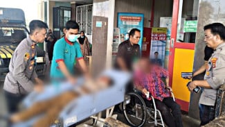 Pohon Sonokeling Tumbang di Tanjung Senang, Pemotor Tewas Tertimpa