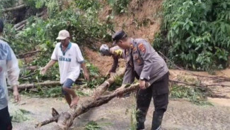 Diguyur Hujan Deras, Jalan Lintas di Tanggamus Lumpuh Akibat Longsor