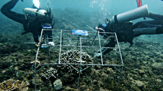 Melindungi Surga Tersembunyi, Merajut Asa di Teluk Kiluan: Kisah UNILA di Genera-Z Berbakti