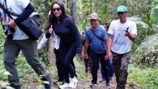 Zita Anjani Kunjungi Air Terjun Way Tayas, Dorong Pengembangan Wisata Berkelanjutan di Lampung Selatan