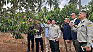 PTPN I Regional 7 Pastikan Kesiapan Hilirisasi: 'Semua Potensi Dikerahkan'