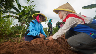 PGN Sabet PROPER Emas, Petani Karet Ikut Panen Berkah