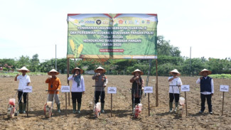 Dukung Swasembada Pangan, Polres Tulang Bawang Tanam Jagung Serentak dan Resmikan Gudang Ketahanan Pangan Polri