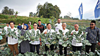 Menko Pangan Apresiasi PNM Dukung Ketahanan Pangan Lewat Program Ayam Petelur dan Pemberdayaan UMKM