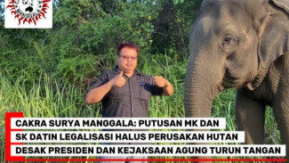 CSM Desak Presiden dan Kejaksaan Agung Turun Tangan: Putusan MK dan SK Datin Dituding Legalisasi Halus Perusakan Hutan