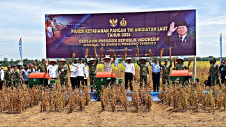 Panen Kedelai Garuda Merah Putih di Lampung