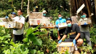 Ratusan Burung Hasil Penangkapan di Bakauheni Dilepasliarkan ke Kaki Gunung Rajabasa