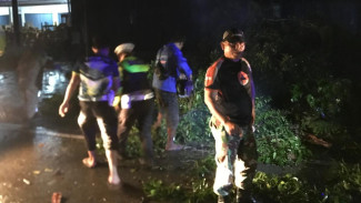 Aksi Sigap Kapolsek Banjar Agung: Evakuasi Pohon Tumbang di Jalintim Tuba, Lalu Lintas Normal dalam Dua Jam
