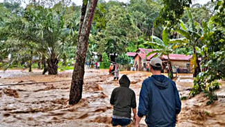 Banjir Bandang Sumatra dan Jejak Kejahatan Lingkungan di Hulu