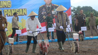 Dukung Swasembada Pangan, Wakapolri dan Menko Pangan Tanam Jagung Serentak di Lampung Selatan