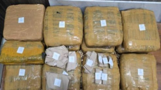 Polda Lampung Gagalkan Peredaran 13,8 Kg Ganja di Kalianda, Satu Tersangka Terancam Hukuman Mati