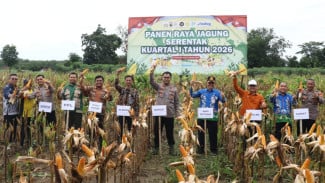Perkuat Ketahanan Pangan, Polres Tulang Bawang Gelar Panen Raya Jagung Serentak 2026