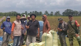 Bulog Lampung Utara Serap 47 Ton Gabah Petani, Targetkan Swasembada Pangan 2026