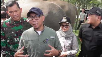 Solusi Permanen Konflik Gajah: Pemerintah Bangun Pagar 70 KM di Way Kambas Tahun 2026