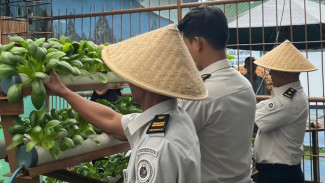 Panen Pokcoy Berkelanjutan, WBP Lapas Kalianda Sukses Perkuat Ketahanan Pangan
