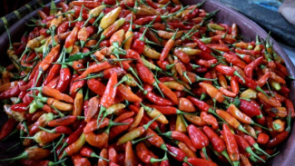 Harga Cabai Rawit Merah Kian Pedas, Satgas Saber Telusuri Kenaikan Harga