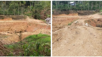 Gunakan Ekskavator Tanpa Izin di Hutan Lindung Bukit Rigis, KPH II Liwa Jadi Sorotan