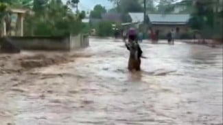 Sungai Way Waya Meluap, Banjir Rendam Pemukiman dan Puluhan Hektare Sawah di Pringsewu