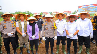 Dukung Ketahanan Pangan, Kapolda Lampung Tanam Jagung Kuartal I Disaksikan Kapolri Secara Daring