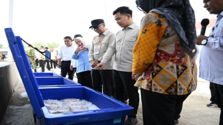 Pastikan Fasilitas Kawasan Nelayan Terintregasi, Wapres Tinjau KNMP Desa Margasari