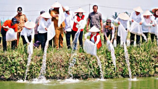 Panen Raya di Seputih Raman, Petani Sampaikan Keluhan Infrastruktur