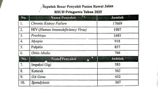 10 Besar Penyakit Pasien RSUD Pringsewu 2025, HIV No Urut 2
