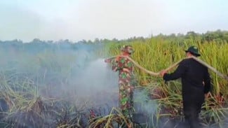 Karhutla Melanda TNWK, Pengelola Dipastikan Tak Ada Satwa Terdampak dan Duga Api Sengaja Dibakar