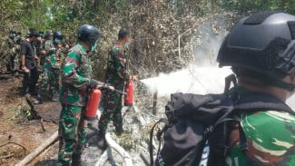 Mengenal Tim Alfa TNI: Pasukan Lintas Udara yang Diterjunkan Memburu Karhutla di Way Kambas