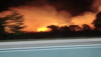 Dua Titik Lahan Tol Terpeka Terbakar Serentak di KM 162 dan KM 167