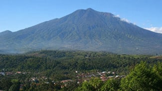 img_title