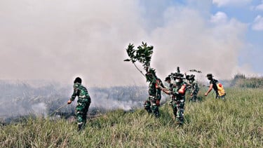 img_title
