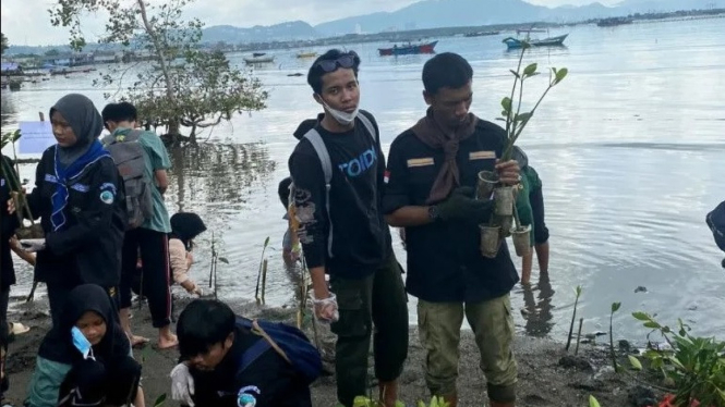 Siswa pecinta alam di Lampung tanam 1.000 bibit pohon mangrove