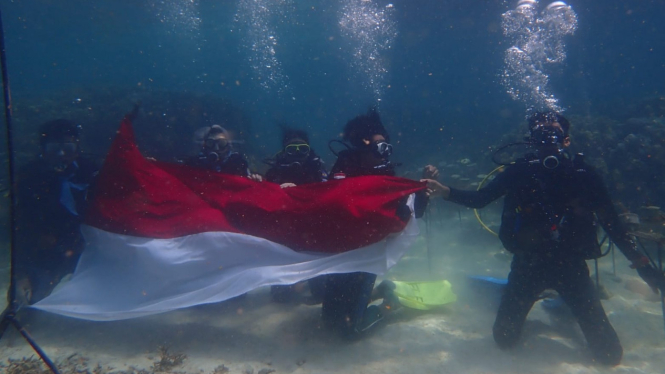 Klub Selam Anemon Unila Kibarkan Bendera Merah Putih di Bawah Laut