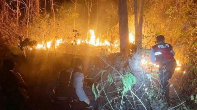 Petugas Kepolisian Berusaha Memadamkan Kebakaran Lahan Kebun Jati