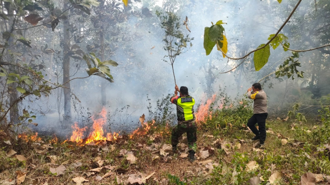Polisi dan TNI Berusaha Memadamkan Kebakaran Lahan