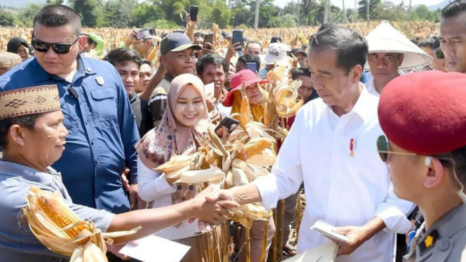 Presiden Jokowi menyapa petani di Boalemo, Gorontalo.