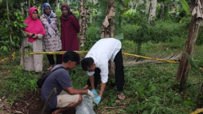 Lokasi ditemukannya mayat bayi terkubur.