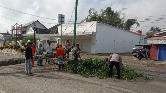 Babhinkamtibmas dan Babinsa Balik Bukit Evakuasi Pohon Tumbang.