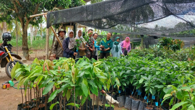 Program penanaman bantuan bibit Multi Purpose Tree Species