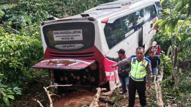 Polisi evakuasi bus masuk ke jurang di Lampung Barat.