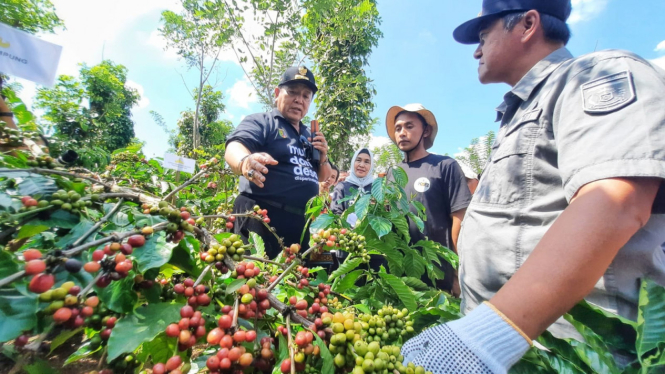 Gubernur Lampung bersama petani kopi