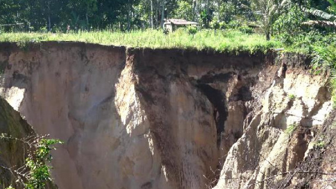 Fenomena tanah longsor di Desa Bandar Baru, Sukau, Lampung Barat.